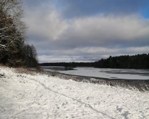 Free stock photo of beautiful nature, frosty, lake views