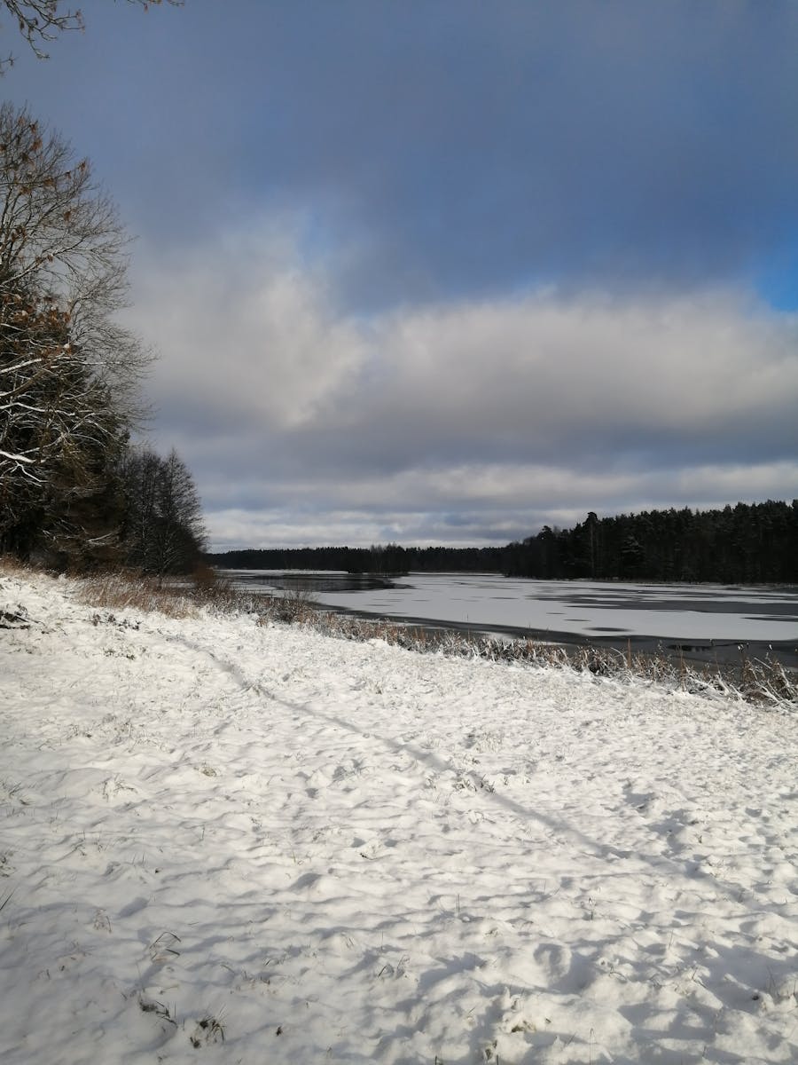 Free stock photo of beautiful nature, frosty, lake views