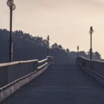 bridge, road, path, bridge, bridge, bridge, bridge, bridge