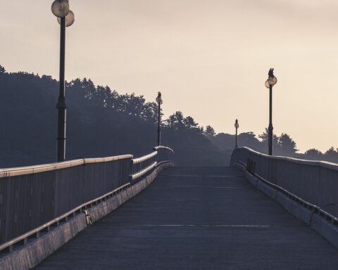 bridge, road, path, bridge, bridge, bridge, bridge, bridge