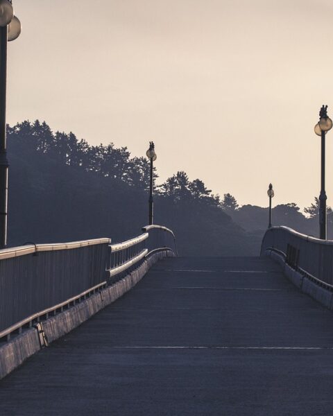 bridge, road, path, bridge, bridge, bridge, bridge, bridge