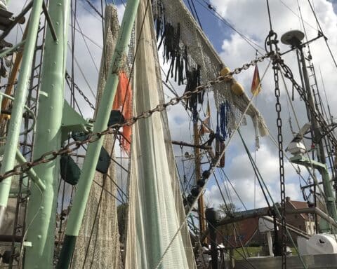 Fischkutter im Hafen