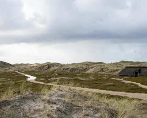 Beautiful dune landscape with traditional house on Amrum Island, Germany.