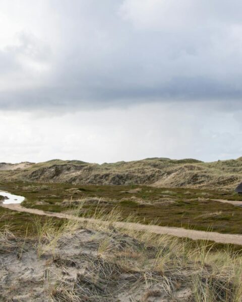 Beautiful dune landscape with traditional house on Amrum Island, Germany.