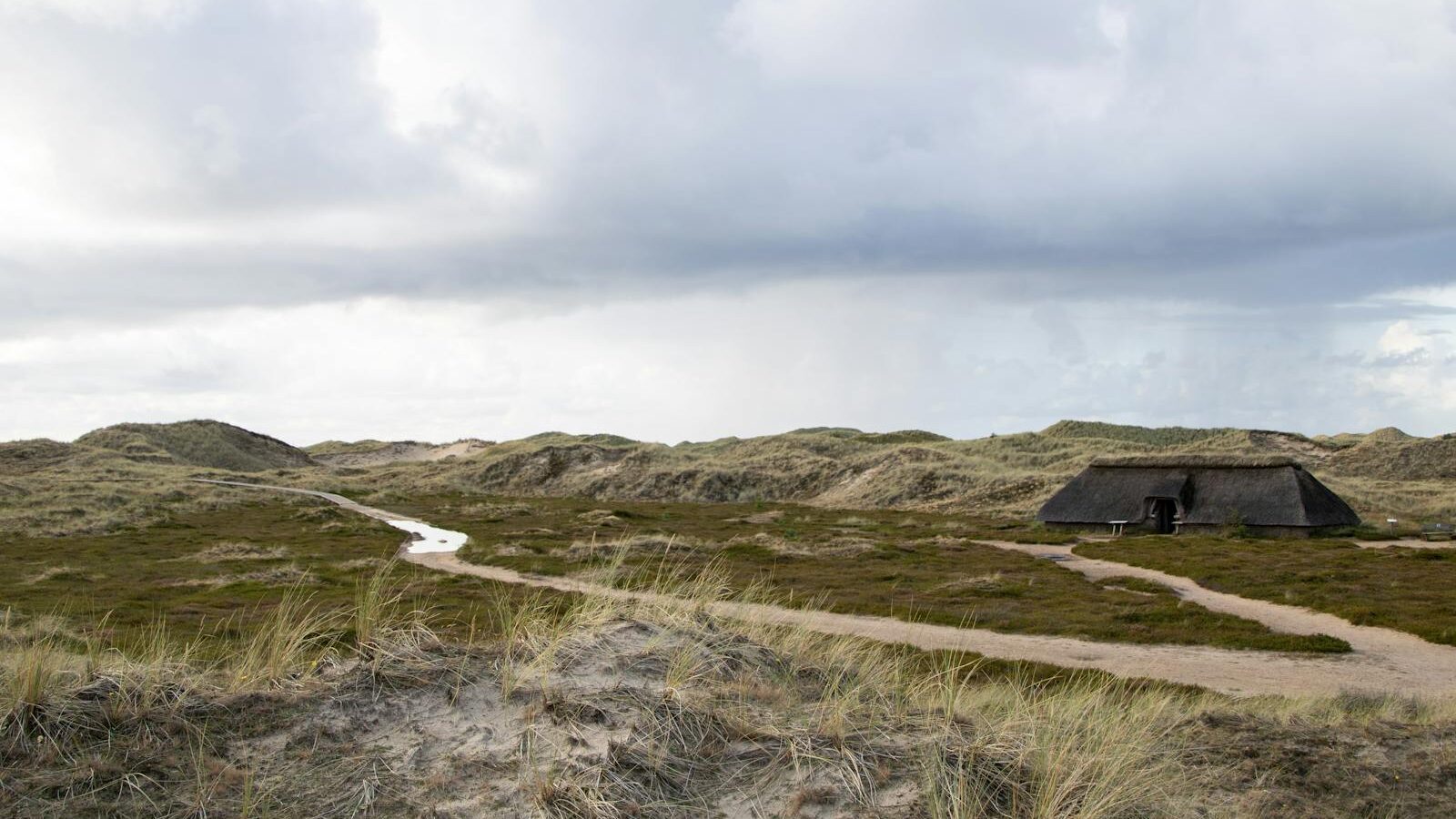 Beautiful dune landscape with traditional house on Amrum Island, Germany.