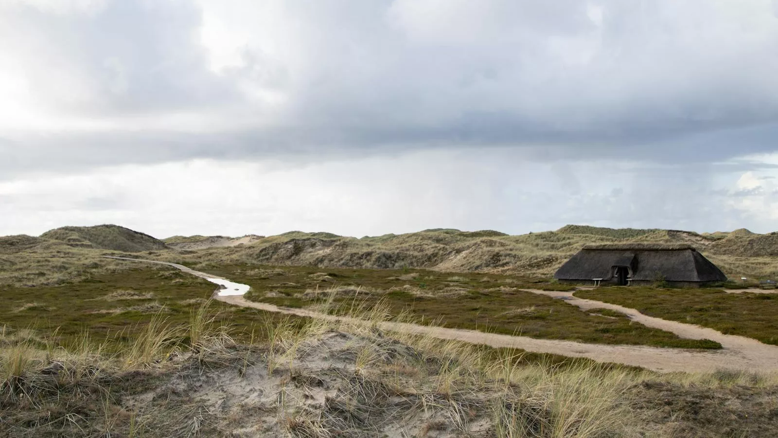 Beautiful dune landscape with traditional house on Amrum Island, Germany.