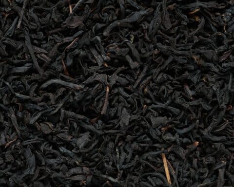 black burnt matchsticks closeup photography