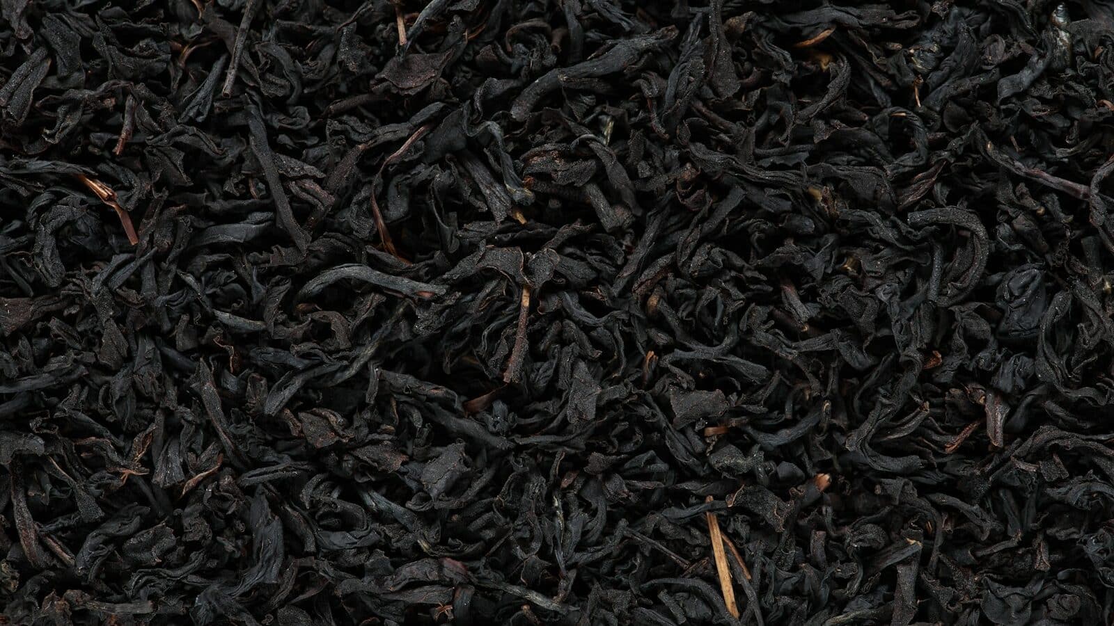 black burnt matchsticks closeup photography