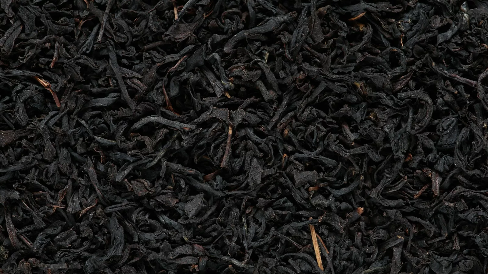 black burnt matchsticks closeup photography