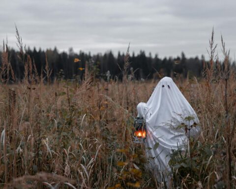 Ghost costume in autumnal field holding a lantern, perfect for Halloween spirit.