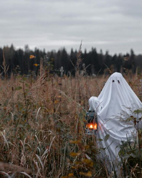 Ghost costume in autumnal field holding a lantern, perfect for Halloween spirit.