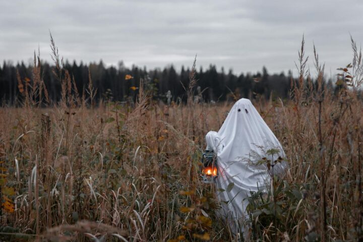 Ghost costume in autumnal field holding a lantern, perfect for Halloween spirit.