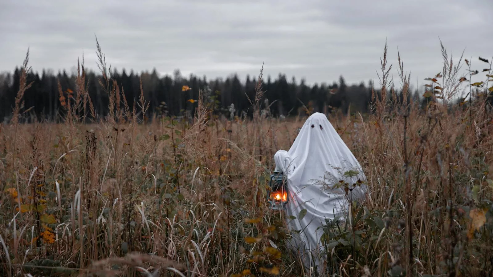 Ghost costume in autumnal field holding a lantern, perfect for Halloween spirit.