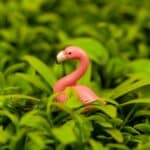 A small pink flamingo toy nestled in vibrant green foliage creates a playful nature scene.