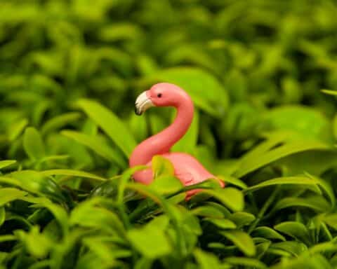 A small pink flamingo toy nestled in vibrant green foliage creates a playful nature scene.