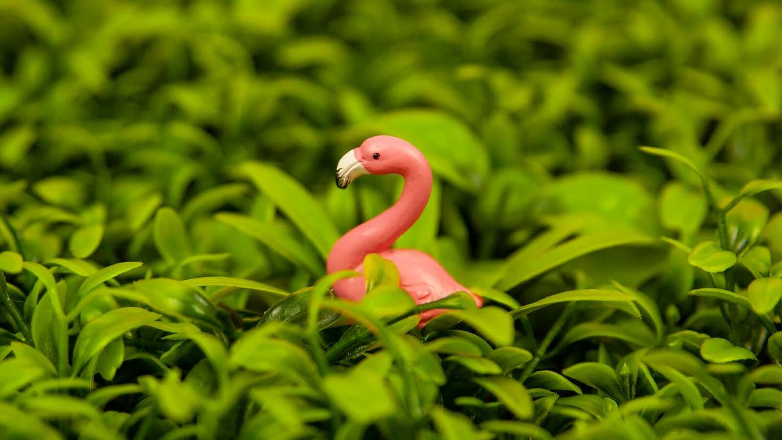 A small pink flamingo toy nestled in vibrant green foliage creates a playful nature scene.