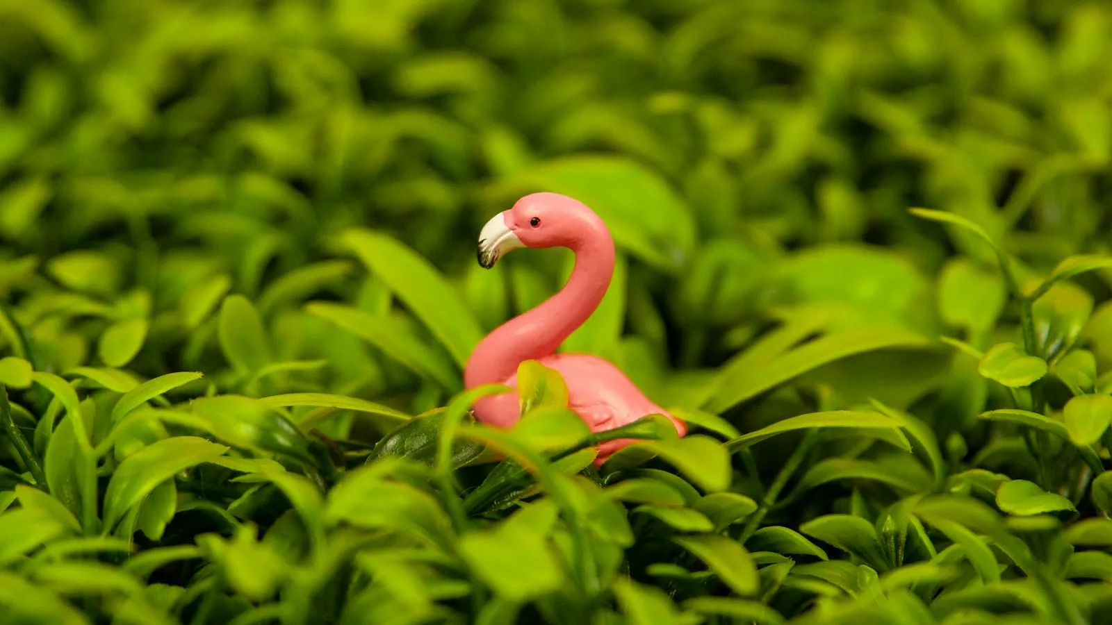A small pink flamingo toy nestled in vibrant green foliage creates a playful nature scene.