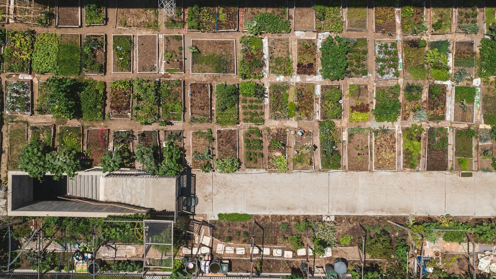 Aerial shot of a structured urban community garden with diverse plant growth.