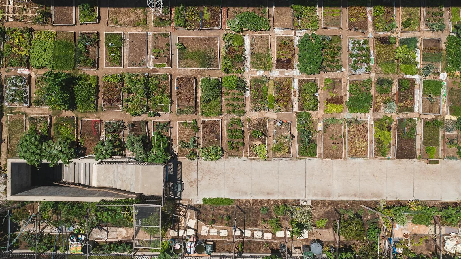 Aerial shot of a structured urban community garden with diverse plant growth.