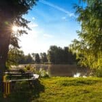 Peaceful morning scene with sunlight through trees by a lake in Wittichenau.