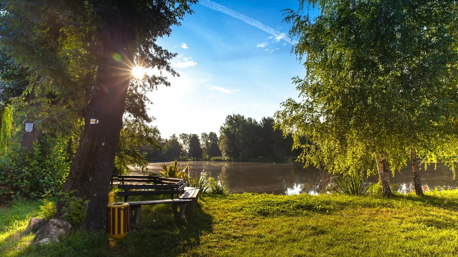 Peaceful morning scene with sunlight through trees by a lake in Wittichenau.