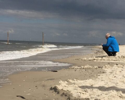 Eine Person sucht am Strand