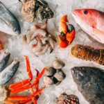 orange and white fish on white and black pebbles
