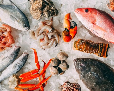 orange and white fish on white and black pebbles