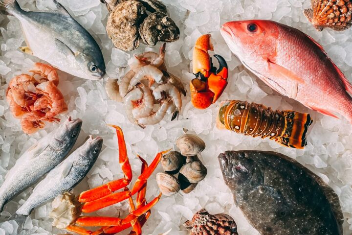 orange and white fish on white and black pebbles