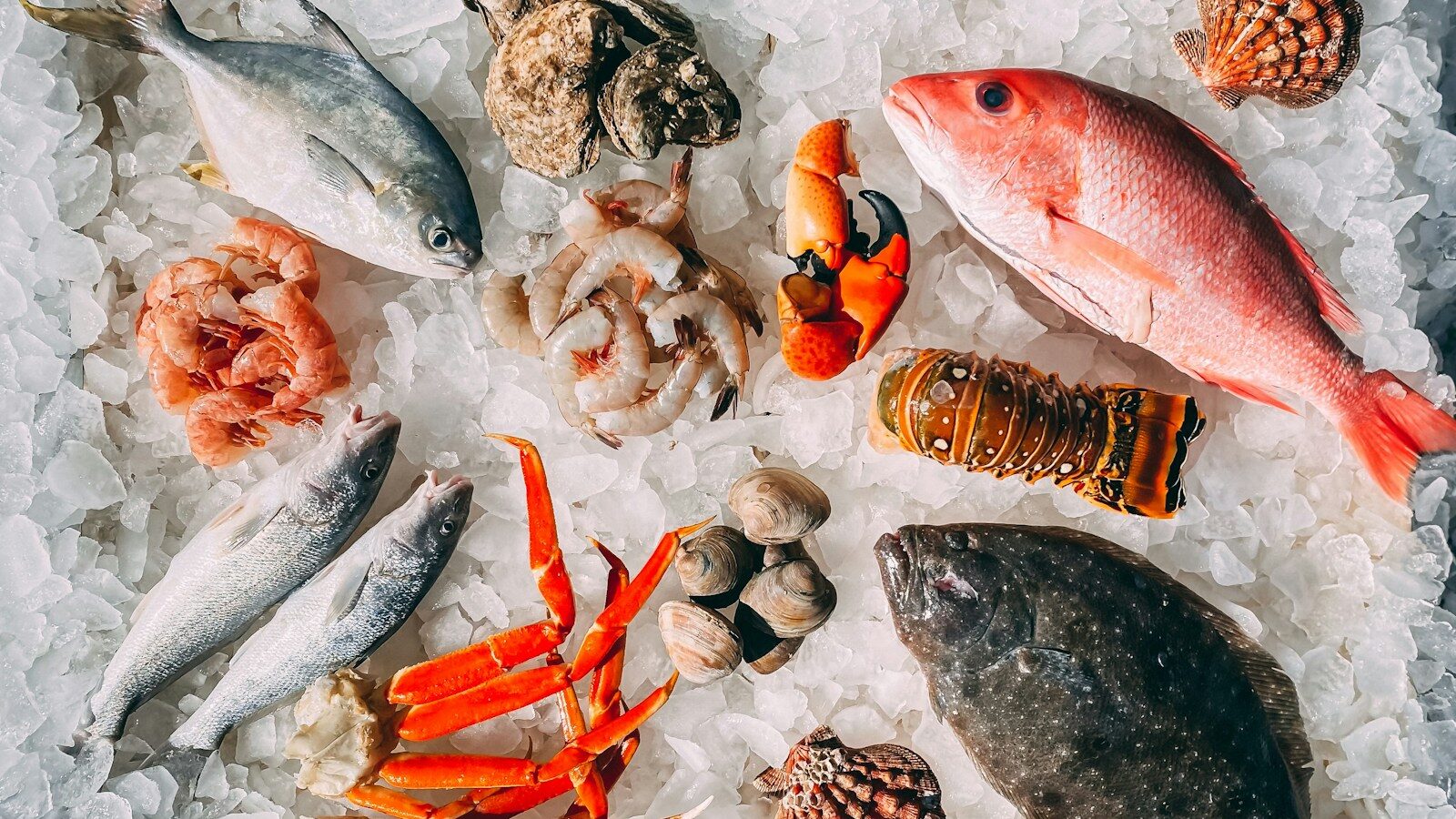 orange and white fish on white and black pebbles