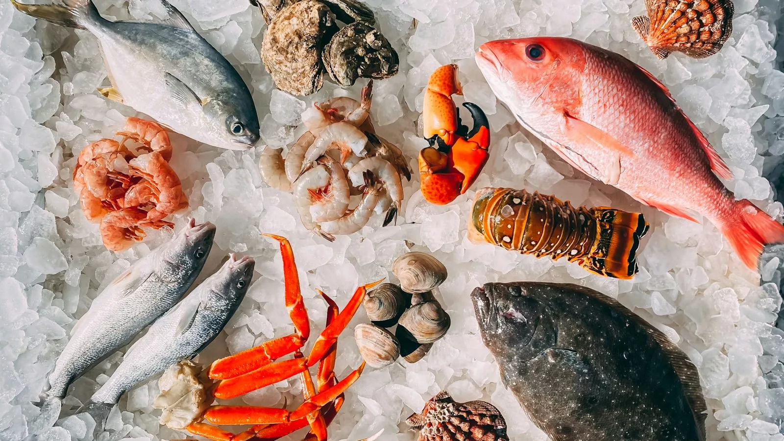 orange and white fish on white and black pebbles