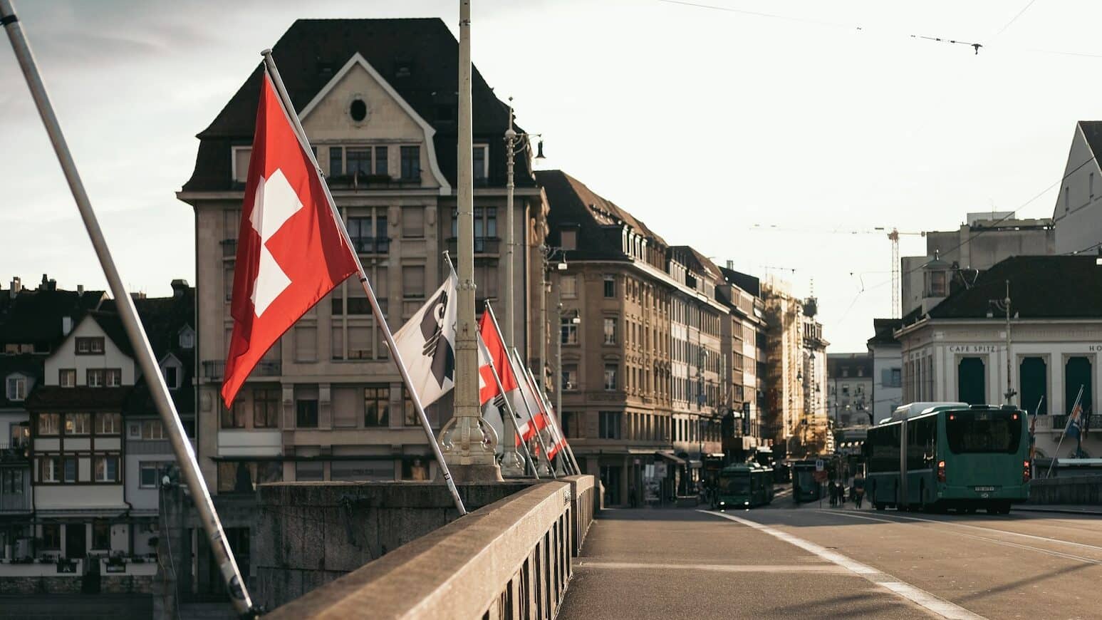 architectural photography of bridge