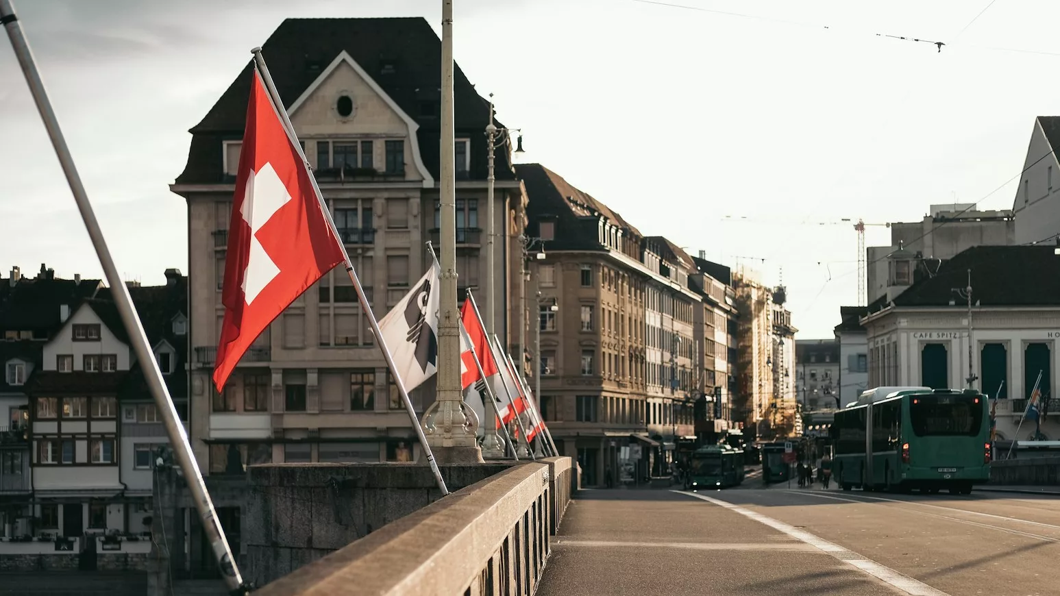 architectural photography of bridge
